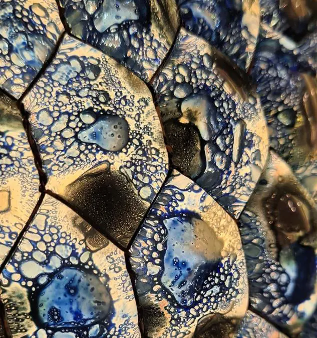 Obra que forma parte de la muestra emEnsayos del agua/em (detalle). Cortesía