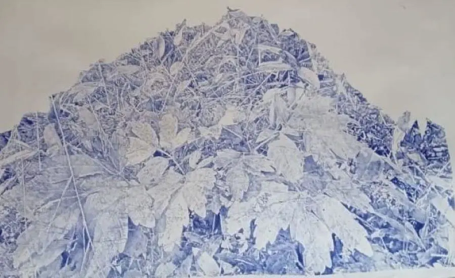 Obra de Wolfgang Krauch, muestra emDe la naturaleza de las cosas/em. Cortes�a