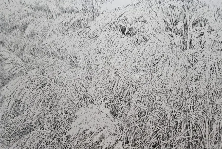 Obra de Wolfgang Krauch, muestra emDe la naturaleza de las cosas/em. Cortes�a