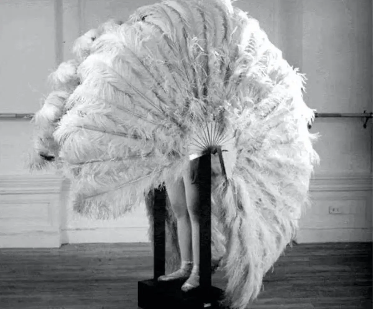 Rebecca Horn. emThe Feathered Prison Fan/em (1978). www.rebecca-horn.de