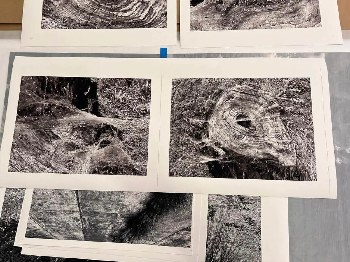 Pruebas de impresi�n en papel de algod�n. Cortes�a de la artista