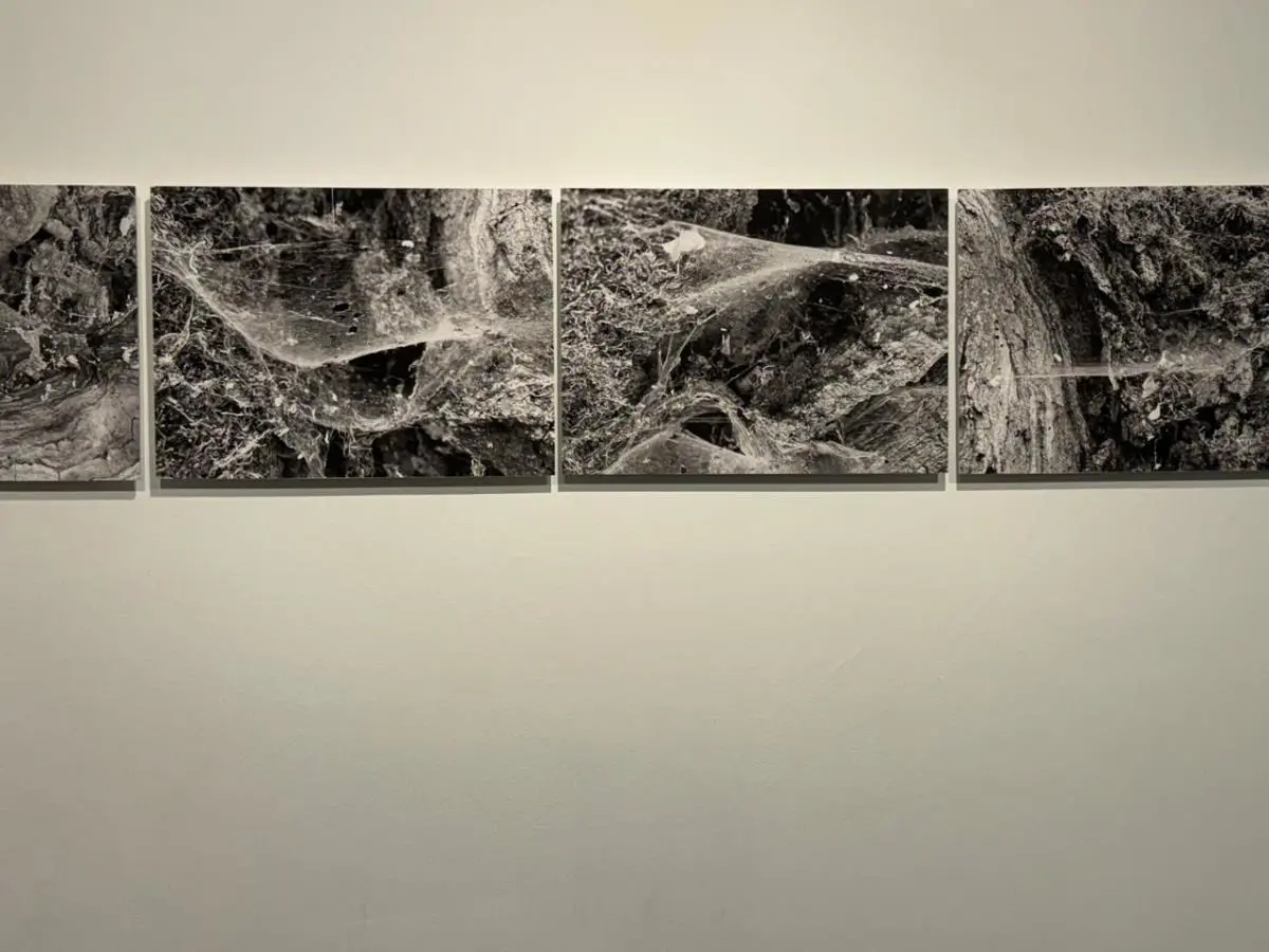 Alejandra Mastro, &ldquo;Costuras rotas&rdquo;, de la serie emMe entretejo/em, 2024 (7 piezas). Cortes�a