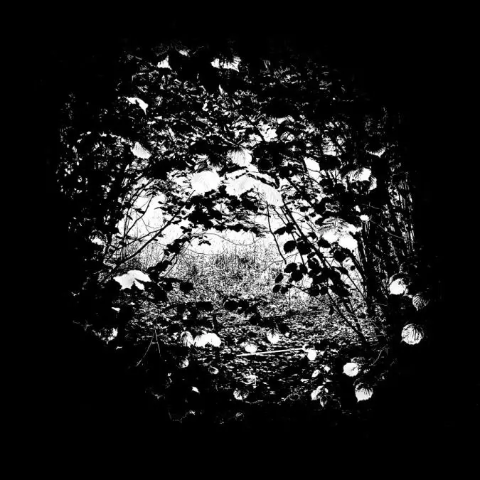 Obra de la serie emMemoria de una bulla loca/em, de Alejandra Mastro. Cortes�a