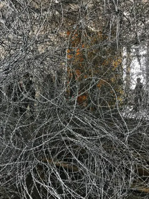 Obra de Alejandra Mastro. Cortes�a