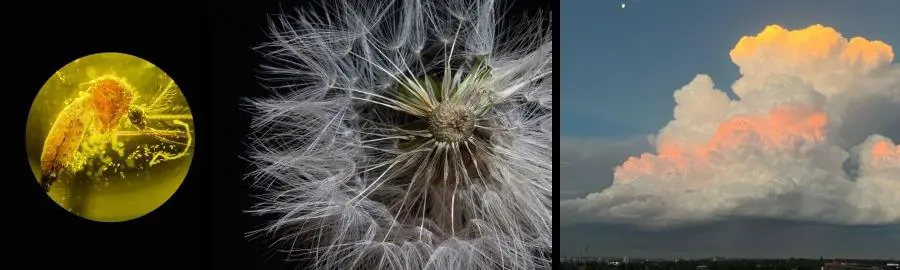 Fotograf�as premiadas en la categor�a 