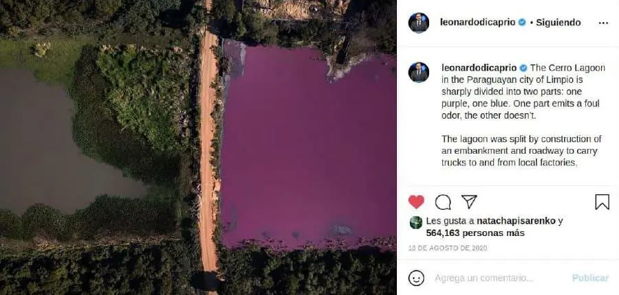Posteo en Instagram de Leonardo Di Caprio. Instagram de Leonardo Di Caprio - Posteo del d�a 16 de agosto de 2020.
