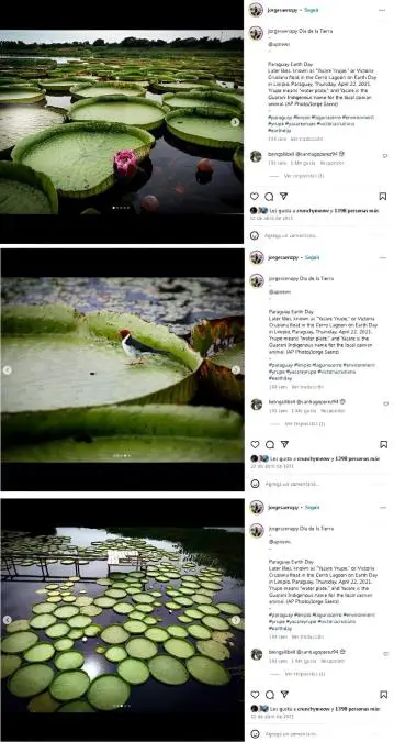 Fotograf�as de Jorge S�enz con motivo del D�a Internacional de la Madre Tierra. Posteos de Jorge S�enz en sus redes sociales. 22 de abril de 2021.