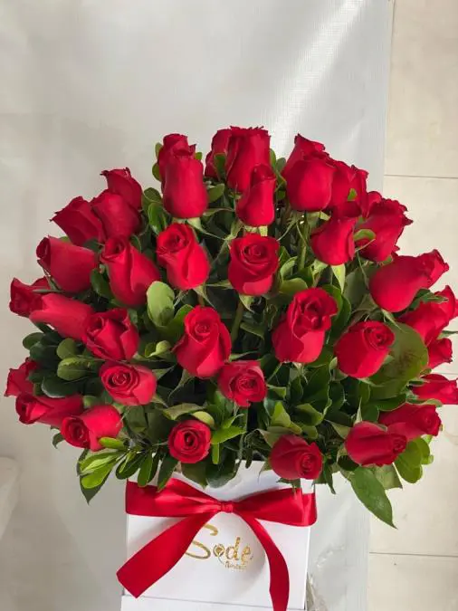 Rosas rojas.