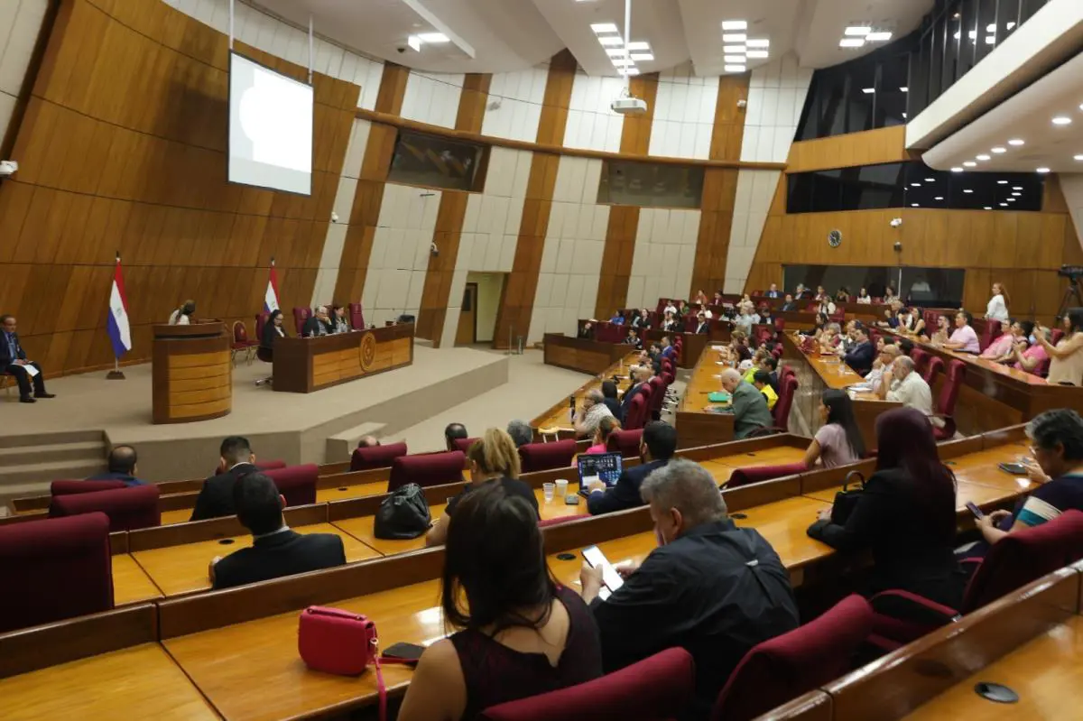 Audiencia p�blica en el Congreso. Foto: Gentileza.